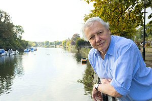 Sir David Attenborough OM,CH,CVO,CBE,FRS,FZS,FSA Sir David Attenborough
