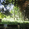 Vinyard Passage Burial Ground