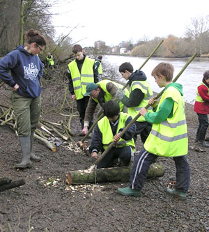 Environment Trust Volunteers Willow Spilling